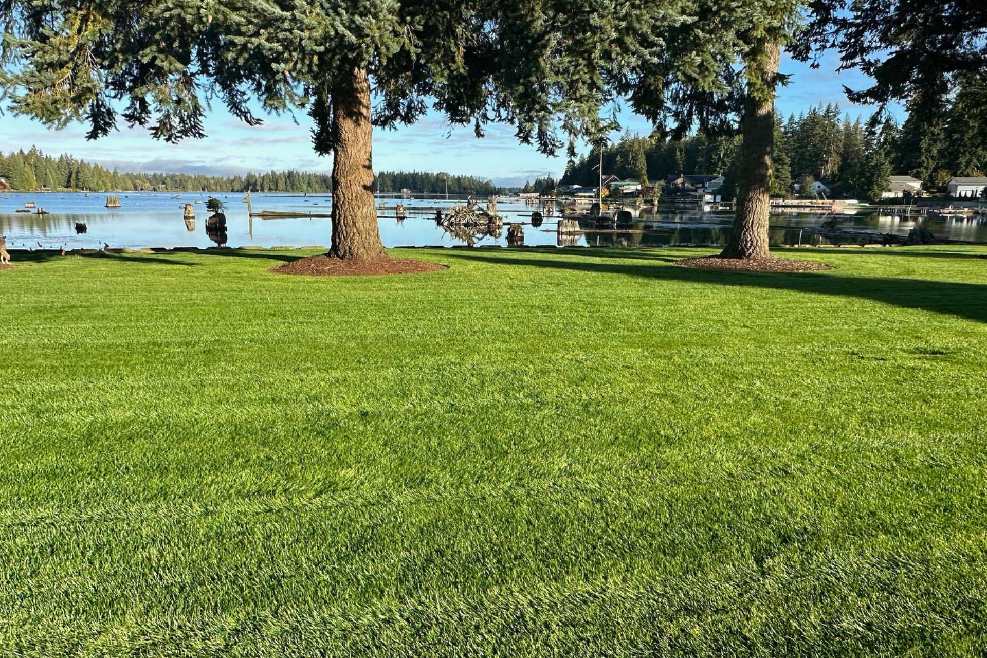 Commercial Fertilization & Weed Control Services