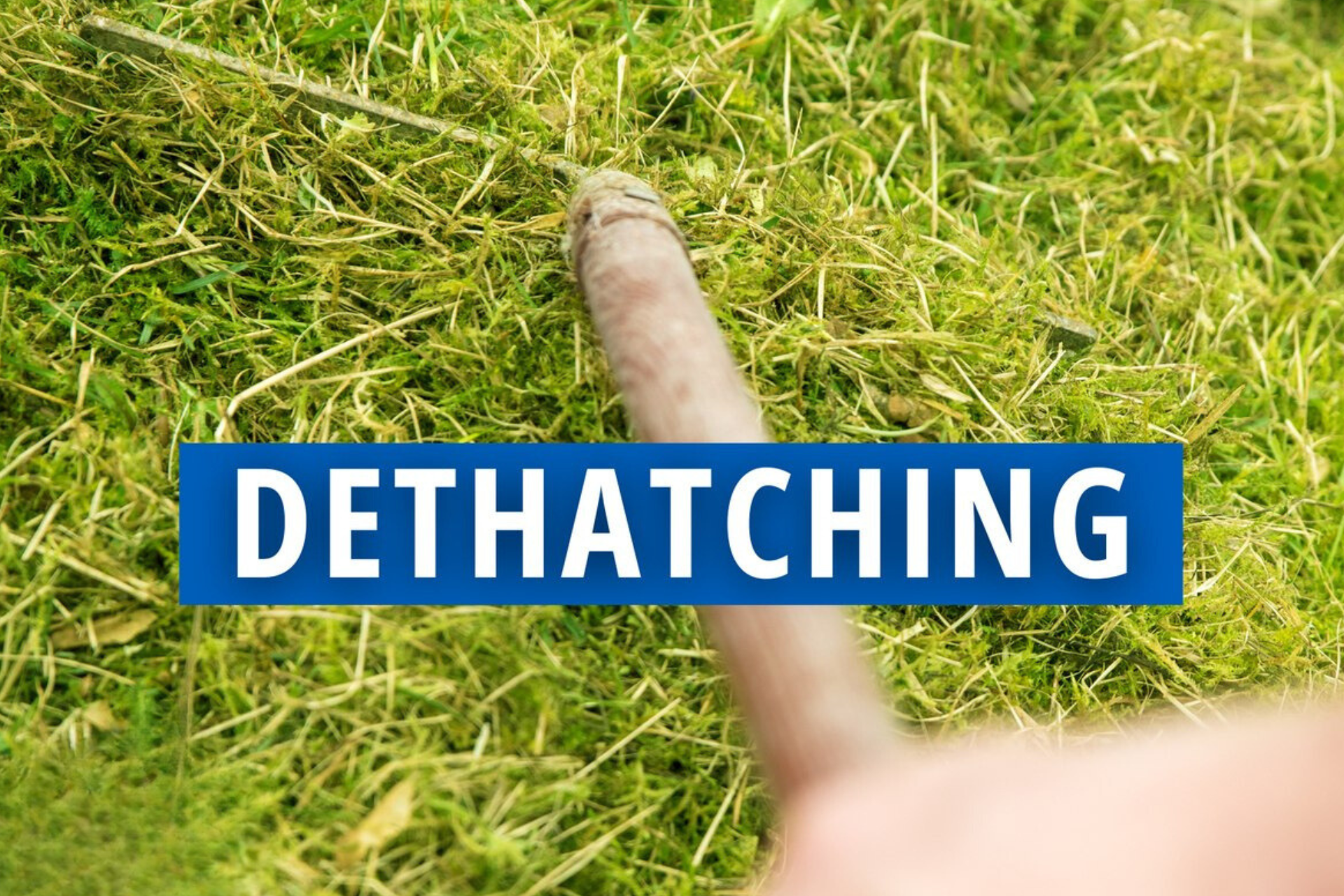 Residential Dethatching Service