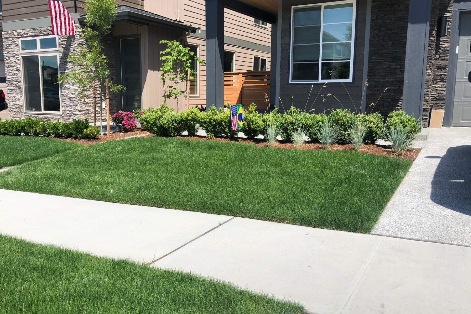 Landscape Maintenance