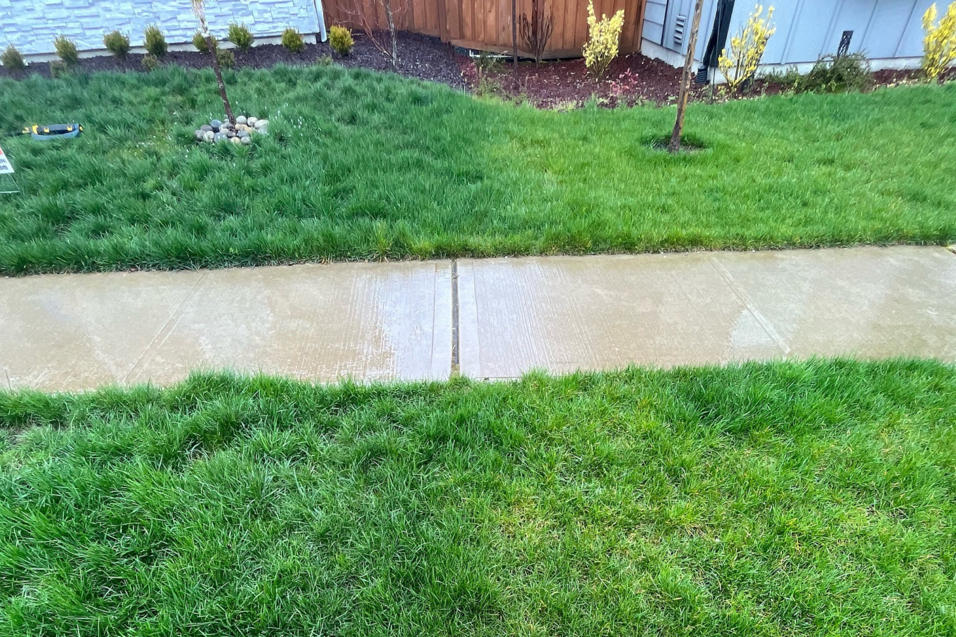 Residential Fertilization Compared To Lawn Without Treatment