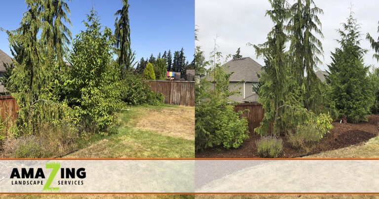 Before & After