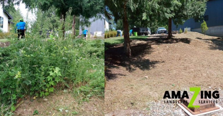 Before & After