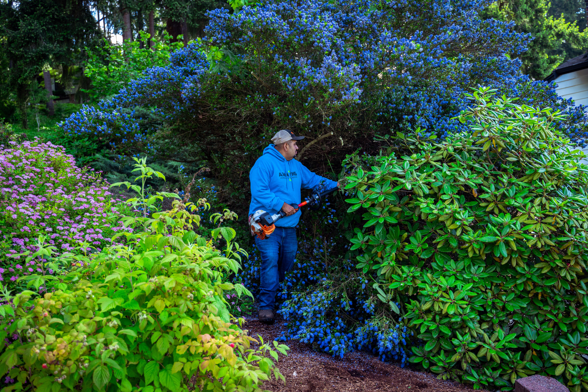 Commercial Landscape Maintenance | Amazing Landscapes