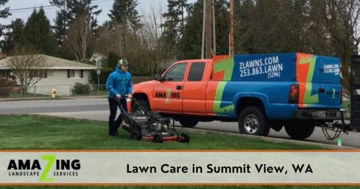 Summit View lawn care services